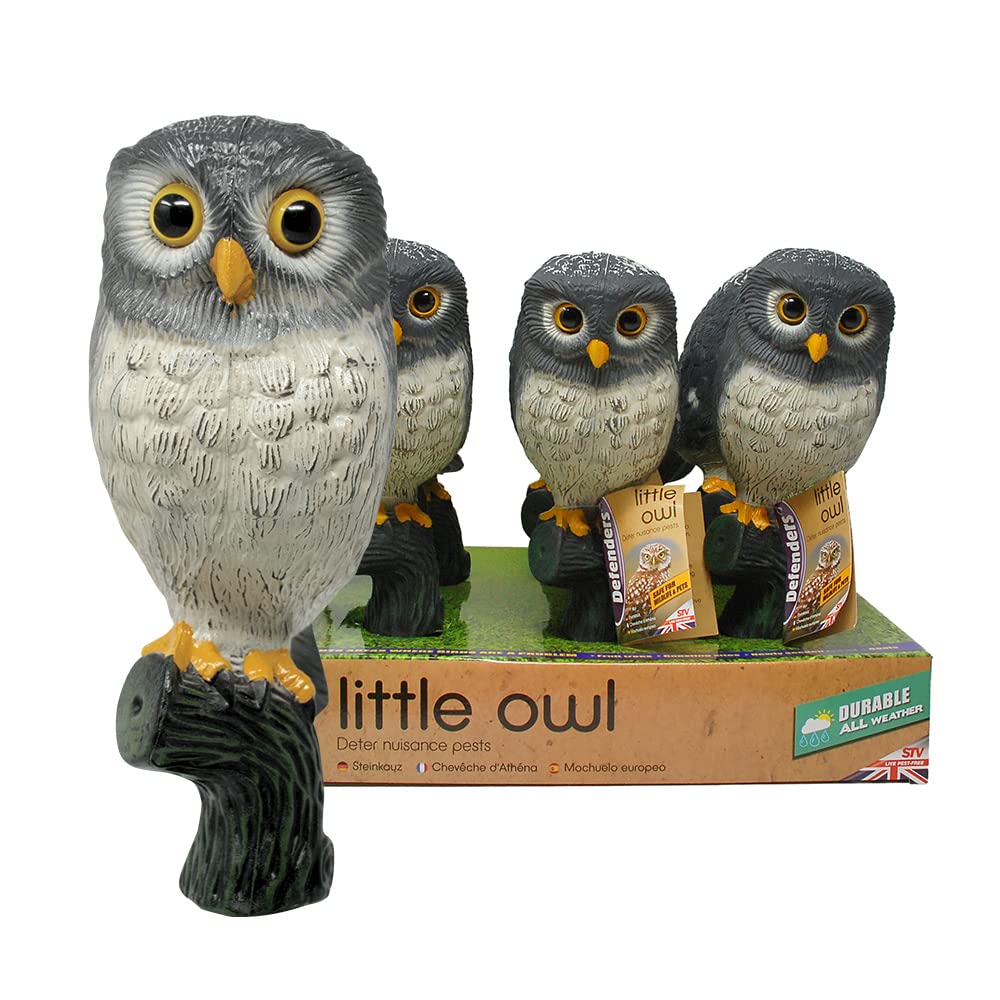Defenders STV974 Little Owl, Decoy Bird Scarer, Life-like
